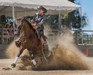 Hollier Than Thou- Reserve Champ Non Pro L4 Aged, Res. Champ NP L3 Int. Aged, Res. Champ PT NP Aged Owner/Rider: Cam Essick 