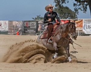 One Smart Pepto- High Point Non Pro, Champ NP Maturity L4, Champ NP. Int. Maturity Rider/Owner: Dana Avila