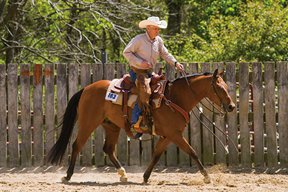 WCHA Ranch Horse Challenge