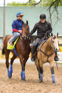 American Pharoah and Smokey