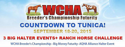 Countdown to WCHA Breeder’s Championship Futurity
