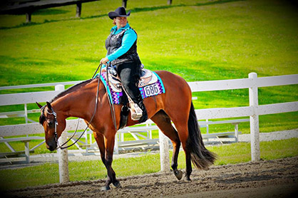 Photos and Results From 2015 Henry County Fall Show and IQHA Futurity