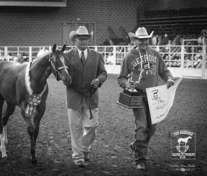 Photo courtesy of The Breeders Halter Futurity- Golden Rose Media