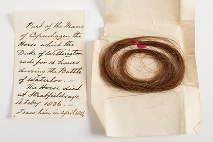 Mane Clipping From The Duke of Wellington’s Horse From The Battle of Waterloo Sells For $3,044