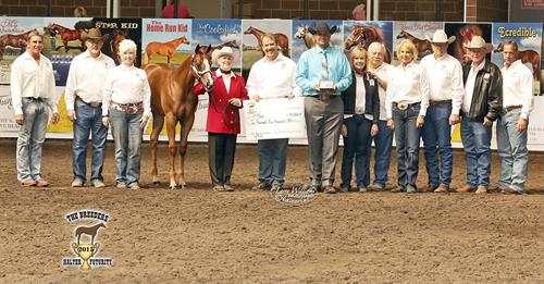 Paints Win Top Titles at Breeders Halter Futurity