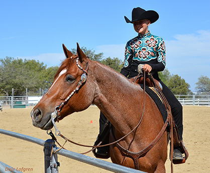 Around the Rings at 2015 Los Serranos Award Circuit