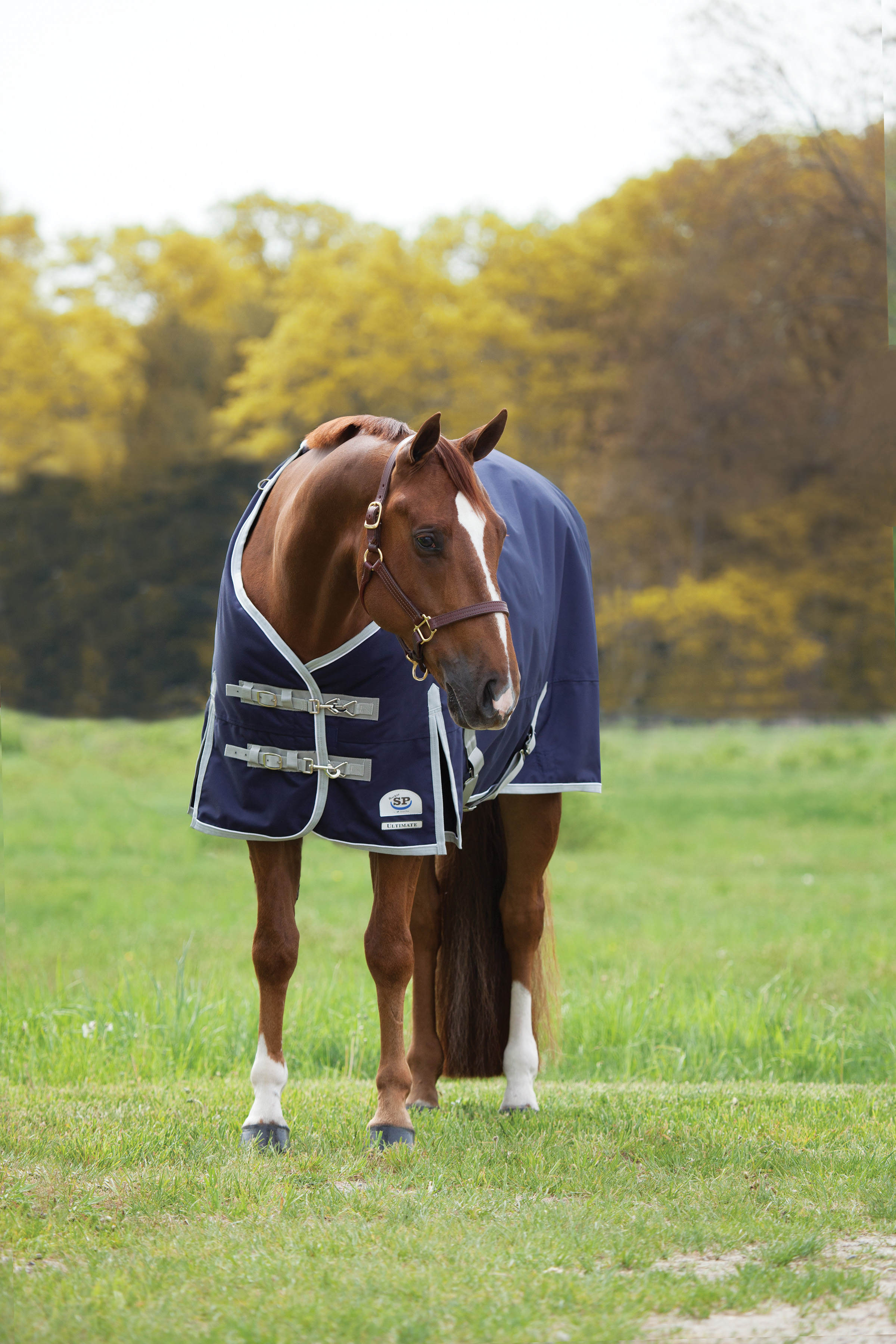 Does Your Horse Need SmartPak’s 10-Year Indestructible Blanket Guarantee?