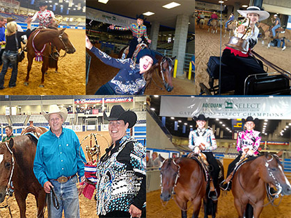 2015 AQHA Select World Update: Big Wins Go To Johns, Chown, Bucholz, Garnett, Habighorst, Coon and More!