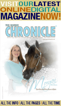 QH Congress Edition of The Equine Chronicle is Now Online!