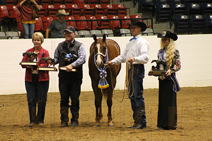 Kenny Lakins and Batt Attitude Win QH Congress Western Yearling Longe Line