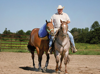 Ponying 101 – Ponying Your Horse the Safe Way