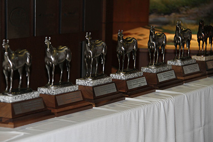 AQHA Honors 50-Year Breeders