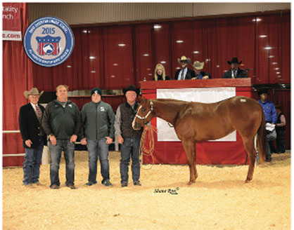 2015 Quarter Horse Congress Super Sale Results