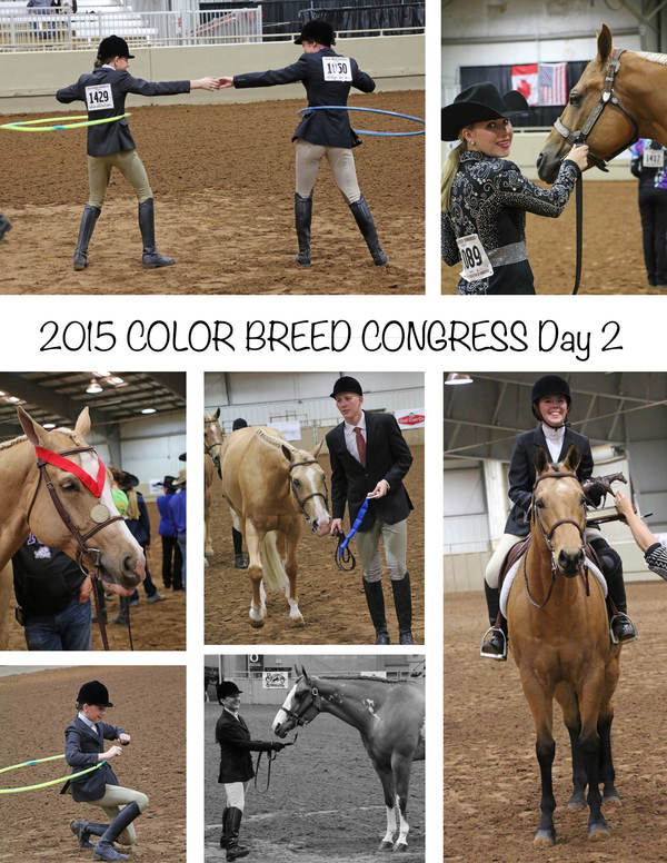 Day 2 Around the Rings at Color Breed Congress