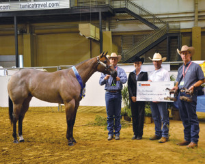 _DSC7629 Yearling Mares Champion