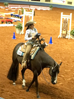 Final Top 5 Standings For Farnam All-Around Amateur at AQHA World