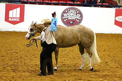 APHA World Morning Halter/Over Fence Winners Include Drawdy, Cassata, Dengate, Berg, Banister, Swainston, Campbell