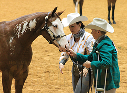 “Never Give Up” is the Motto of 66-Year-Old APHA World Show Competitor Polly Plant
