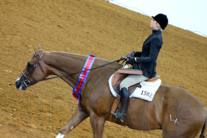 Morning Winners at 2015 APHA World Show Include Spell, Smith, Sartain, Turner, Tabor, and More