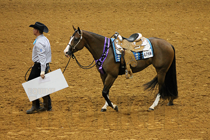 Dustin Eickenhorst and Only After Midnight Win 3-Year-Old Novice Horse Limited Rider WP Sweepstakes