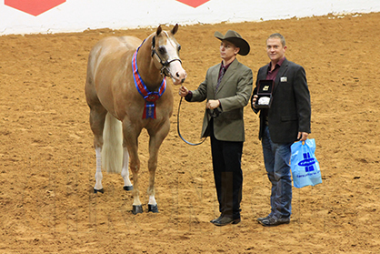 Morning Winners at 2015 APHA World Show Include Parker, Finkenbinder, Epperson, Smith, Henderson