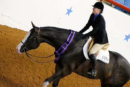 Nicole Dalton and The Wow Factor Win APHA World 3-Year-Old Non Pro Hunter Under Saddle