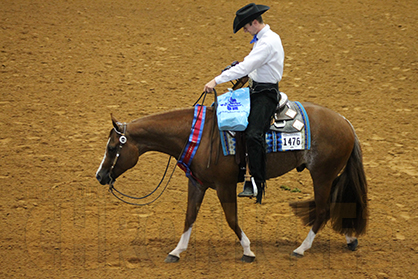 Afternoon Winners at APHA World Show Include Lehn, Snapp, Runkle, and Zuidema