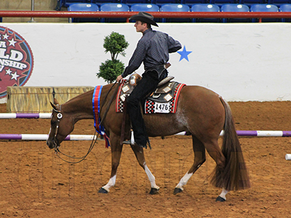 APHA Green Trail Champions Include Troy Lehn/A Chrome Cookie, Sara Simons/Gametime Sensation, Shannon Gillespie/I’m First N Line