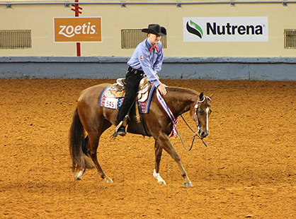 Randy Wilson/Chasing A Dream Win Jr. Western Pleasure, Brian Holmes/Cityboy Or Cowboy Win Sr. Pleasure Driving