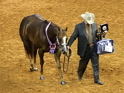 Afternoon Winners at AQHA World Show Include Fleisner, Williams, Peck, Lincoln, Jensen, Habighorst, Weakly