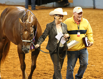 Afternoon AQHA World Halter Winners Include Habighorst, Donnelly, and Berris