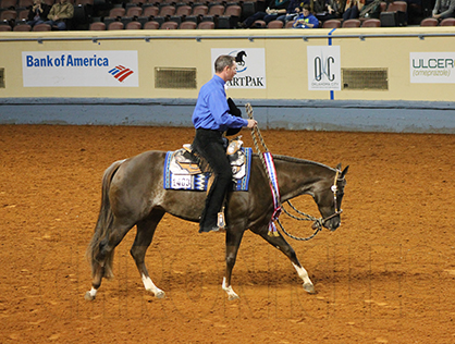 Casey Willis and KM Suddenly So Easy Win 2-Year-Old Western Pleasure at 2015 AQHA World