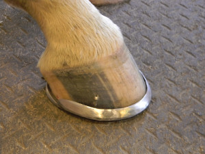 Paul Goodness-rim shoe for fractured foot