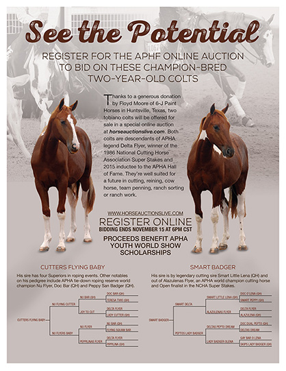 Bid on Champion-Bred Two-Year-Olds in APHF Online Auction to Benefit APHA Youth World Scholarships