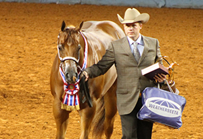 Morning Halter Winners at AQHA World Show Include Franks, Headley, Weakly, Alderson