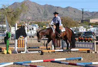 2016 AZ. Sun Circuit + AZ. Nationals = 11 AQHA Shows in Two Weeks