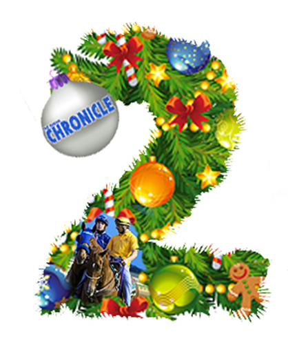 12 Days of Christmas- Equestrian Edition- Day 2