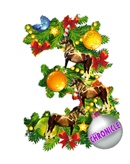 12 Days of Christmas- Equestrian Style- Day 3 and 4