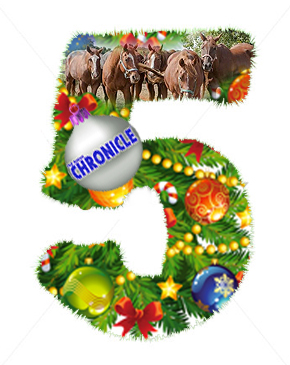 12 Days of Christmas- Equestrian Style- Day 5