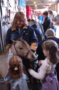 Photo courtesy of Equine Affaire.