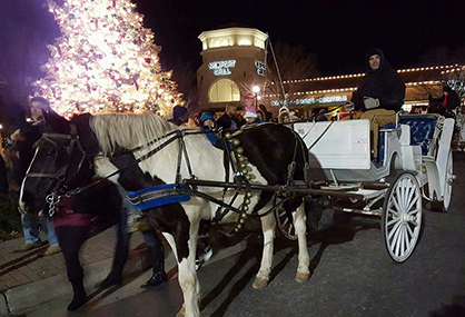 Equine Chronicle Christmas Photo: “Oh What Fun it is to Ride in a One-Horse Open Sleigh… With Clint Fullerton!