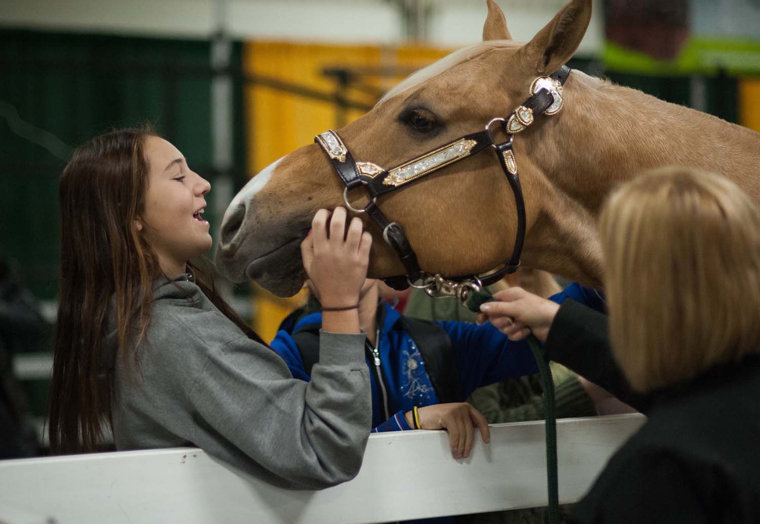 Equine Affaire Introduces Affordable Way to Sell Horses and Promote Stables, Stallions, and Services in Ohio this April