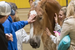 Photo courtesy of Equine Affaire.