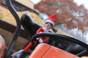 Tractor Driving Elf- Up with the sun and ready to help muck out stalls, this eager elf has taken the wheel. 