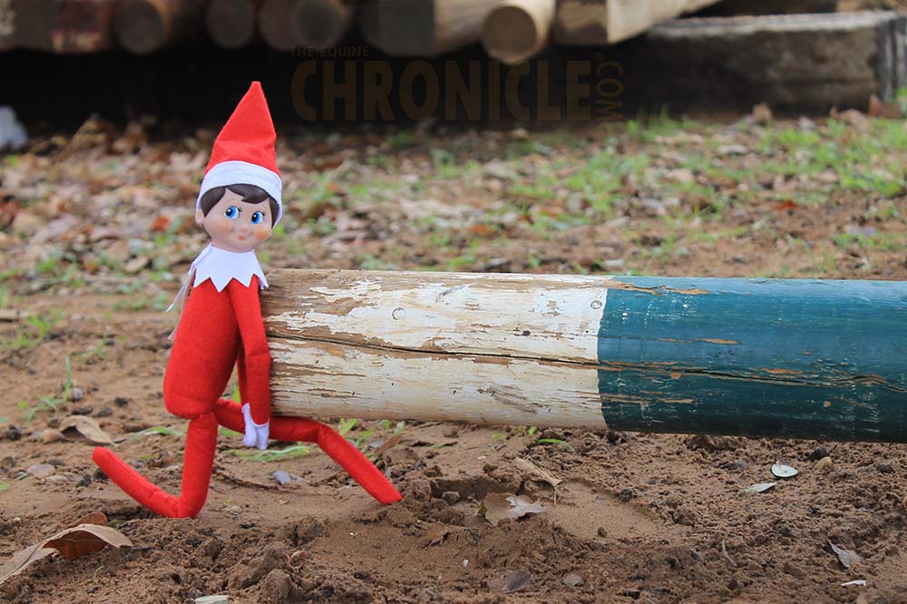 Equestrian Elf On The Shelf