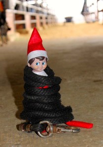 Tack Room Elf- Someone was tired of this elf messing about in the barn, so he got all tied up!