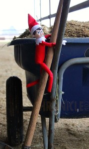 Stall Picking Elf- What a nice surprise to find this little elf has cleaned all the horses' stalls!