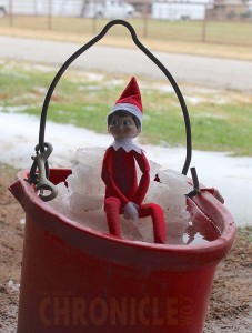 Water Bucket Jacuzzi Elf- After a hard day's work at the barn, there's nothing better than a refreshing water bucket jacuzzi.