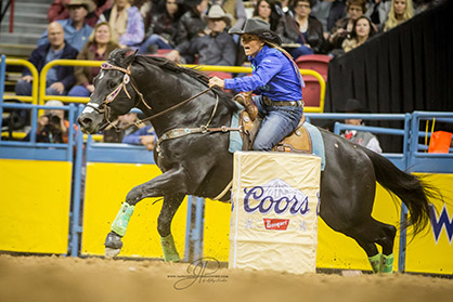 CSU Auction Will Offer Top AQHA Sires, Including Slick By Design, One Time Pepto