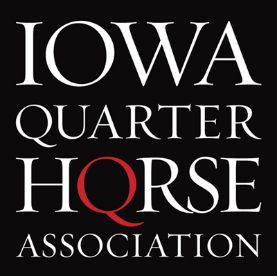 IQHA Stallion Breeders Futurity Auction Goes Live Jan. 1st